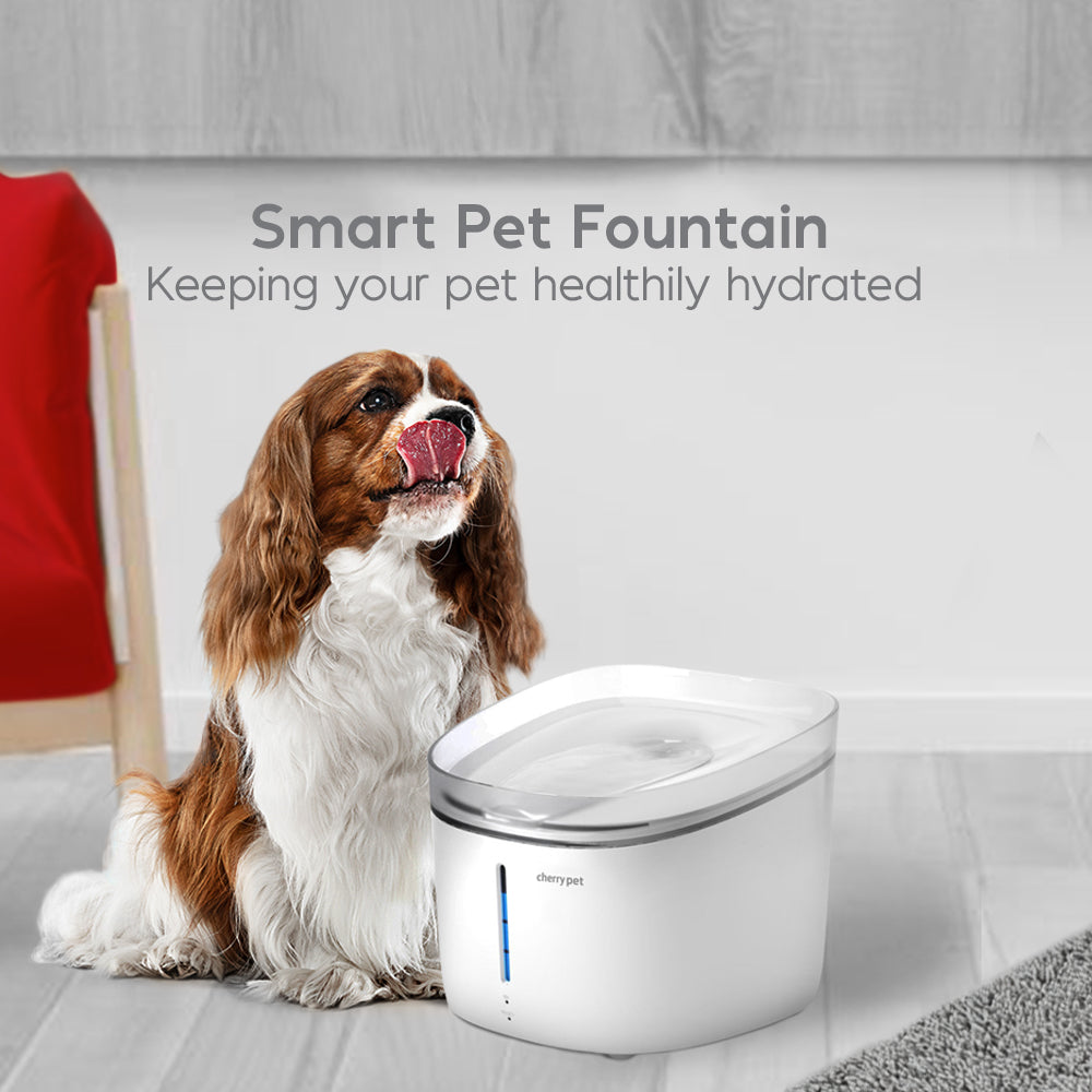 CHERRY Pet Smart Pet Fountain