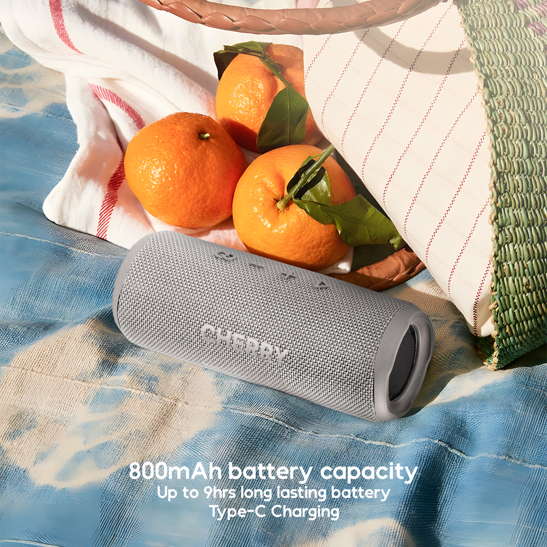 CHERRY Groove Speaker