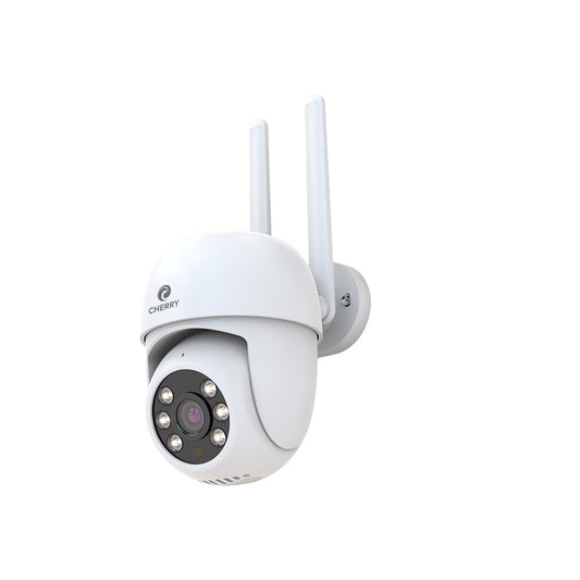 Smart Dome Outdoor Camera