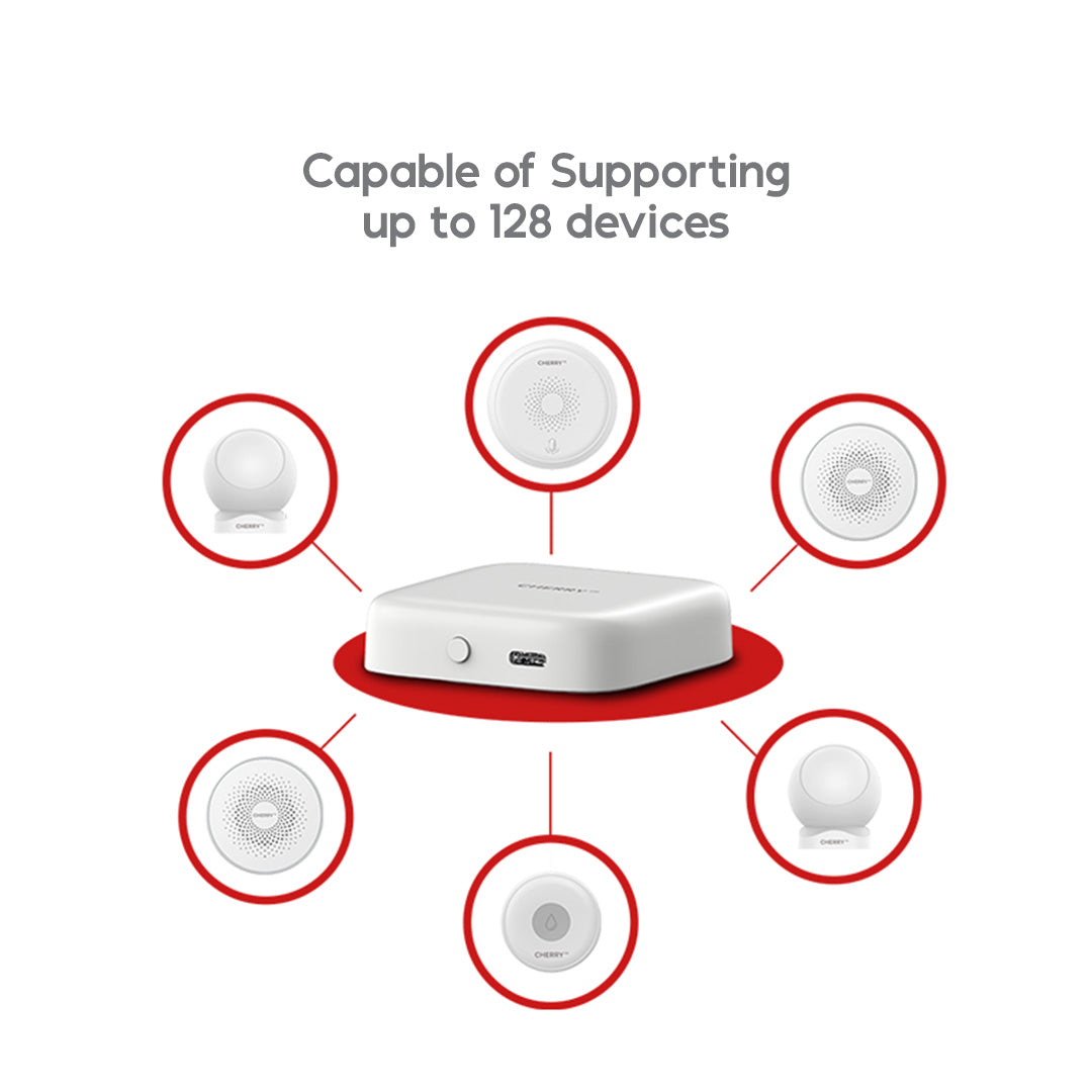 CHERRY Smart Security System