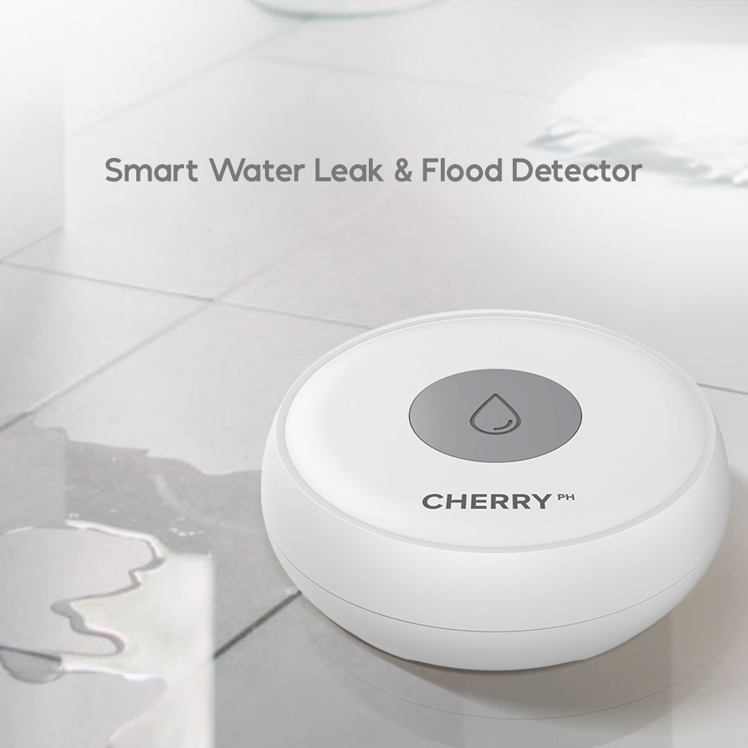 CHERRY Smart Security System