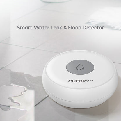 CHERRY Smart Security System