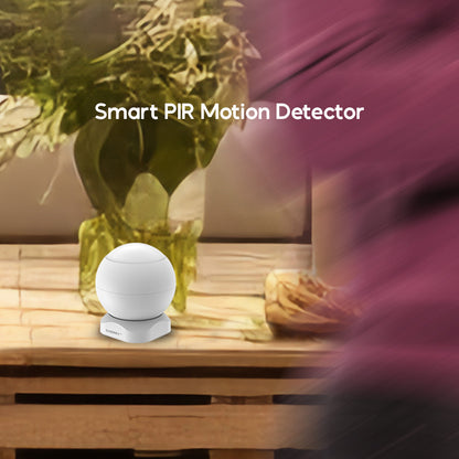 CHERRY Smart Security System