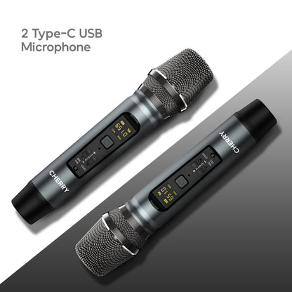 CHERRY Wireless Karaoke Dynamic