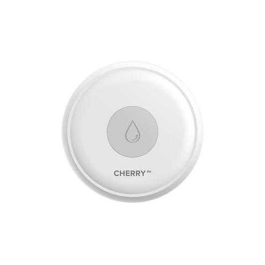Smart Water Leak and Flood Detector