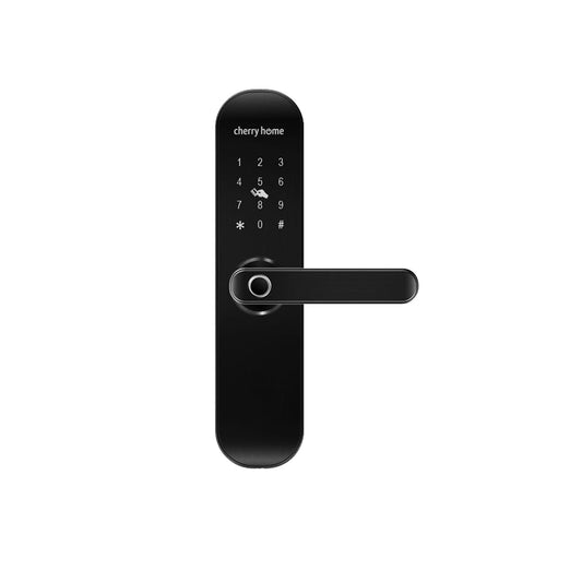 Smart Entrance Lock (5-in-1 Door Lock)