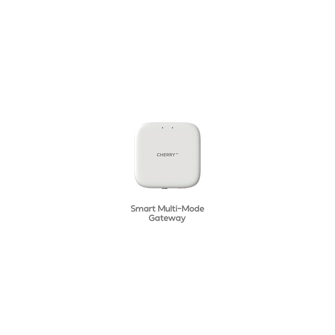 CHERRY Smart Security System