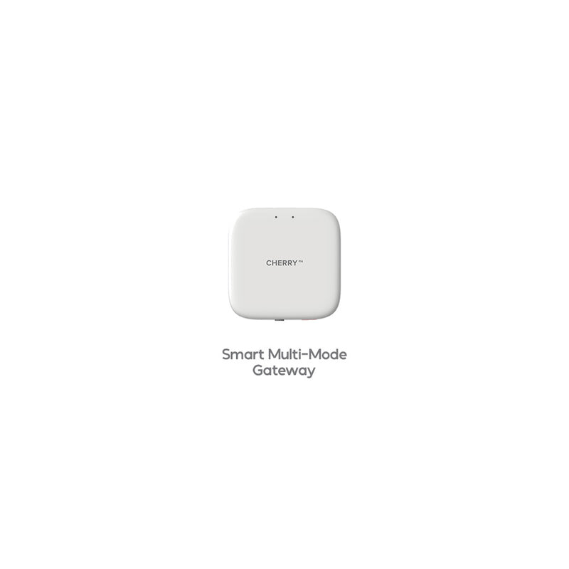 Smart Security System