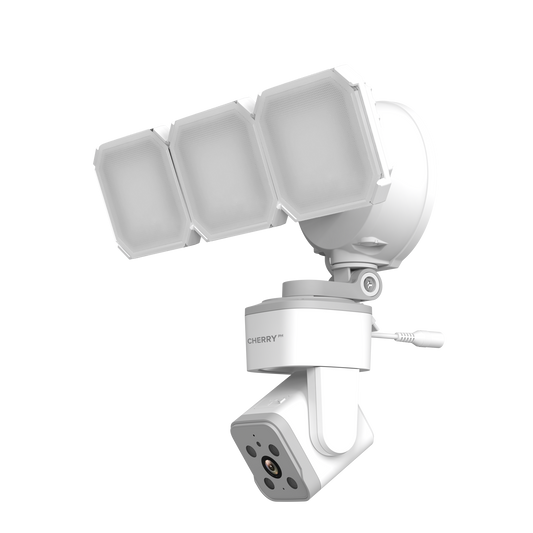 Smart Optiguard Flood Light Camera