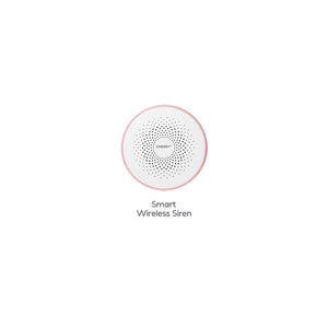 Smart Security System