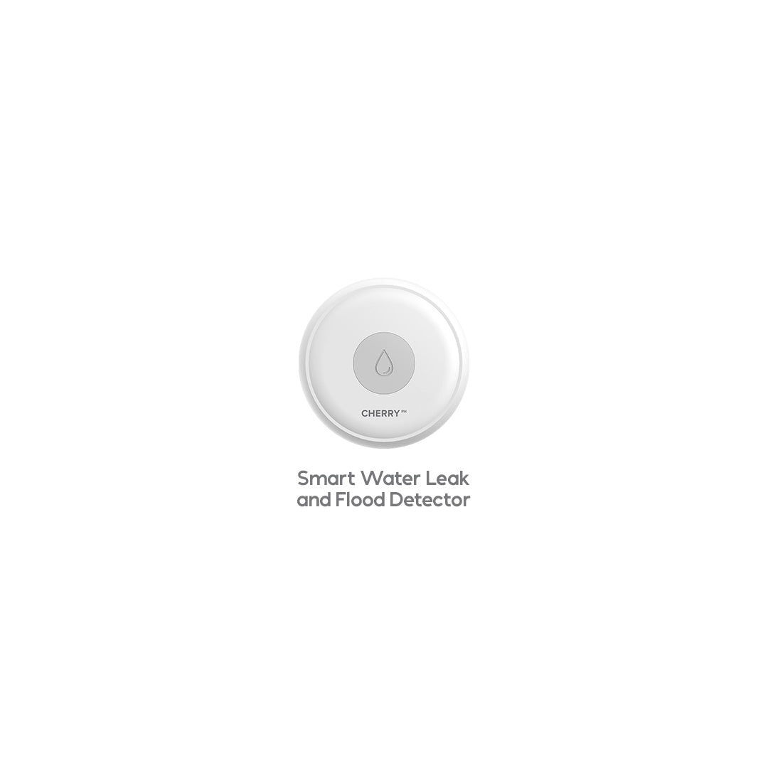 CHERRY Smart Security System