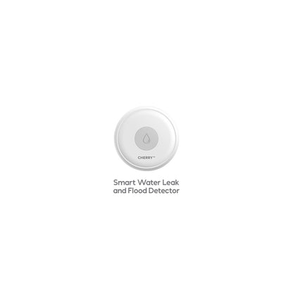 CHERRY Smart Security System