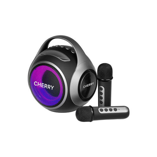 Wireless Karaoke Mini
