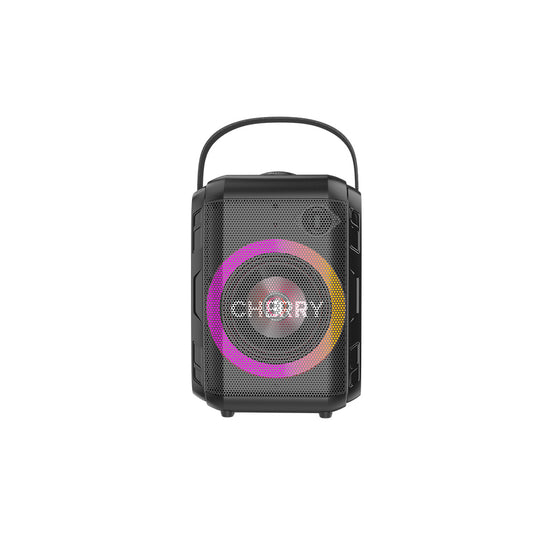 Wireless Karaoke Rhythm
