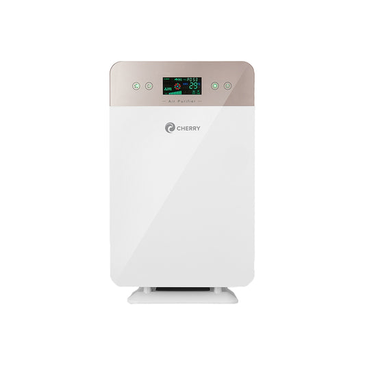 Air Purifier (AP-01)