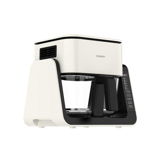 Flip & Cook Air Fryer AF600