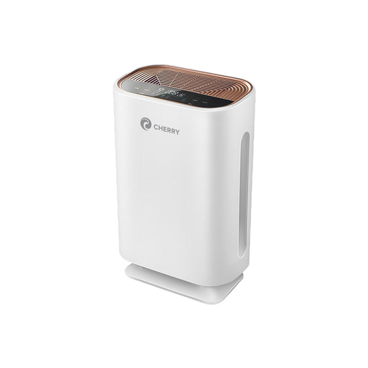 UVC Air Purifier (AP-02)