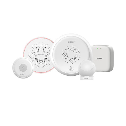 Smart Security System
