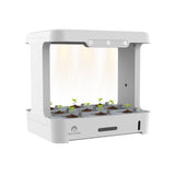 Cherry Home Smart Hydroponic Plant Box