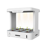 Cherry Home Smart Hydroponic Plant Box