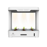 Cherry Home Smart Hydroponic Plant Box
