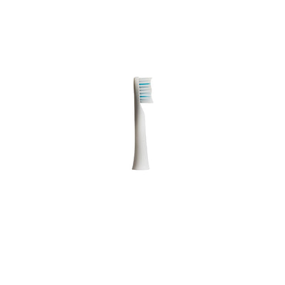 CHERRY Sonic Electric Toothbrush Replacement Head
